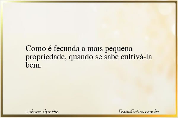 Frase de Johann Goethe