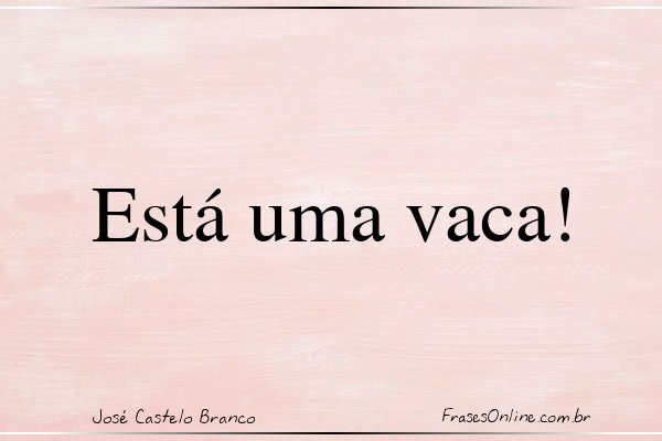 Frase de José Castelo Branco