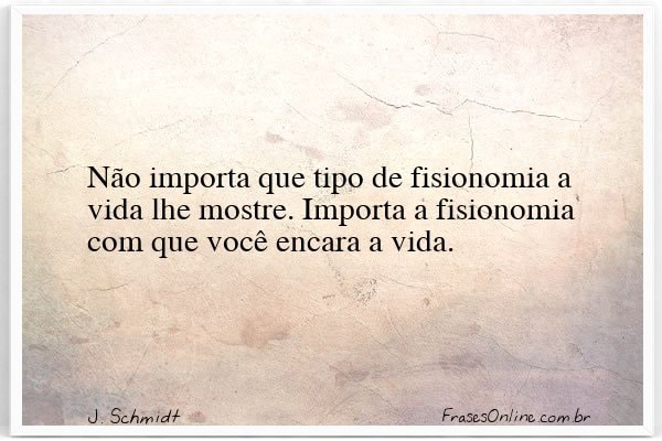 Frase de J. Schmidt