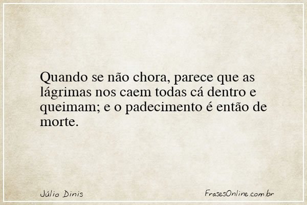 Frase de Júlio Dinis
