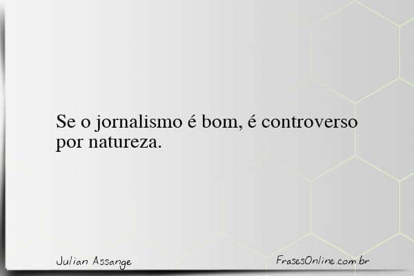 Frase de Julian Assange