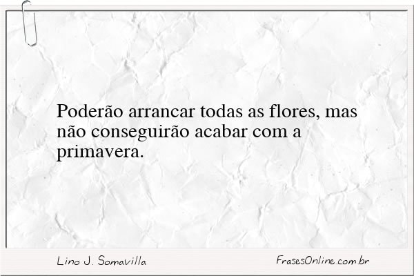 Frase de Lino J. Somavilla