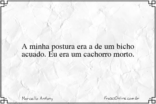 Frase de Marcello Antony