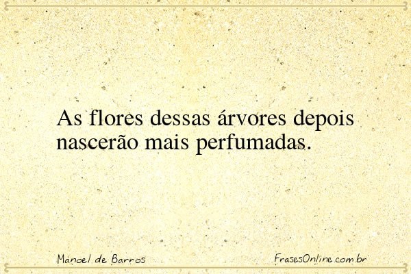 Frase de Manoel de Barros