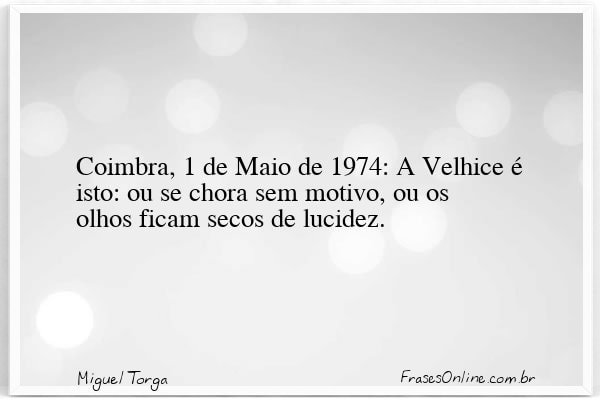 Frase de Miguel Torga