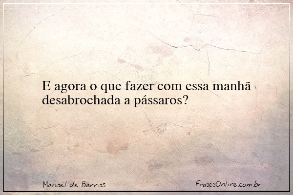 Frase de Manoel de Barros