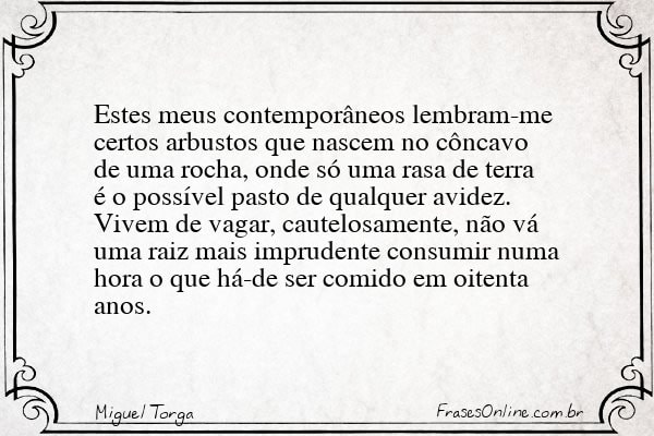 Frase de Miguel Torga