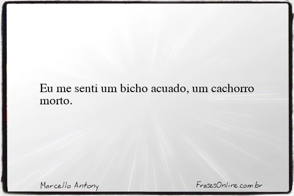 Frase de Marcello Antony
