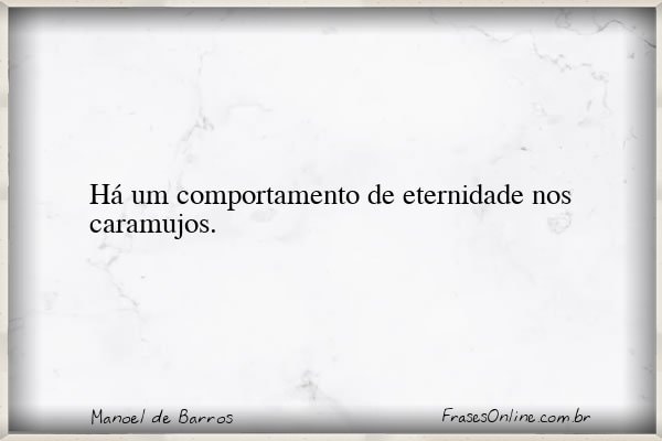 Frase de Manoel de Barros