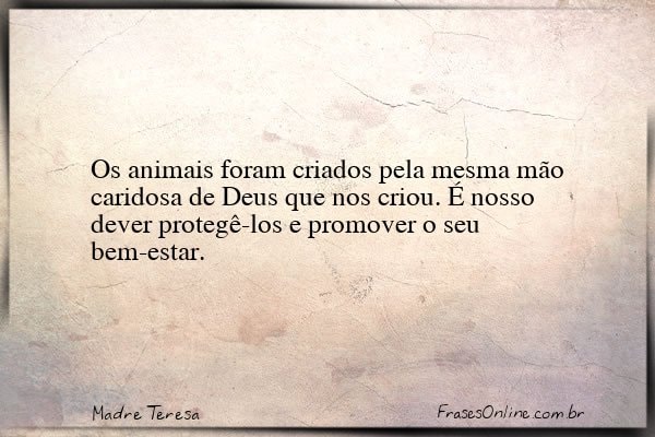 Frase de Madre Teresa