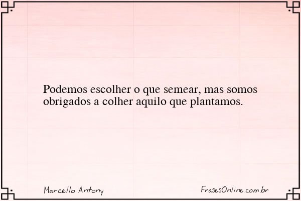 Frase de Marcello Antony