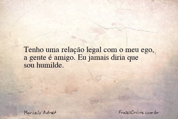 Frase de Marcelo Adnet