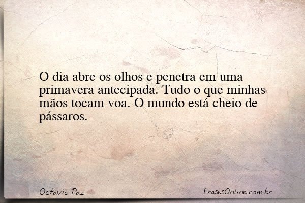 Frase de Octavio Paz