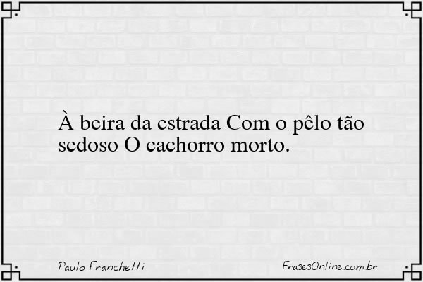Frase de Paulo Franchetti