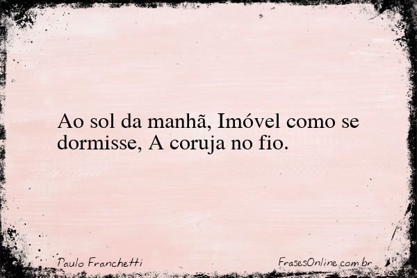 Frase de Paulo Franchetti