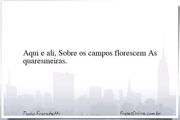 Frase de Paulo Franchetti