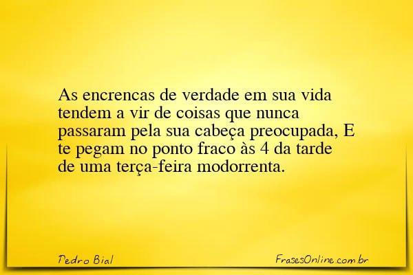 Frase de Pedro Bial