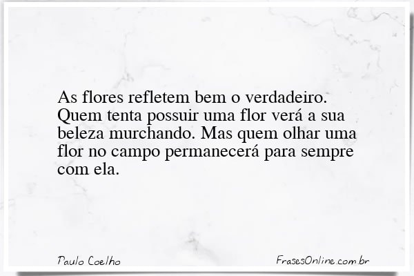 Frase de Paulo Coelho