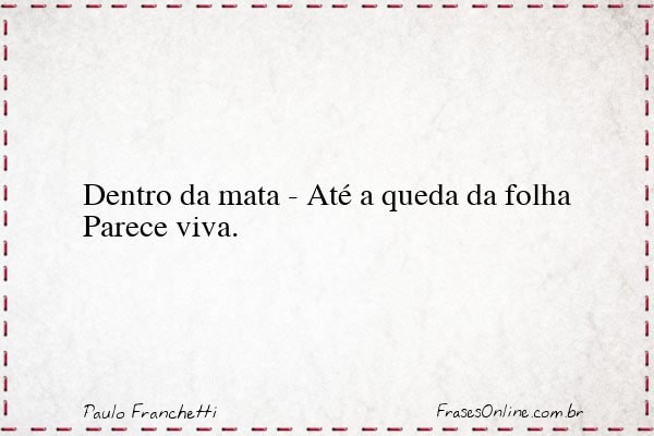 Frase de Paulo Franchetti