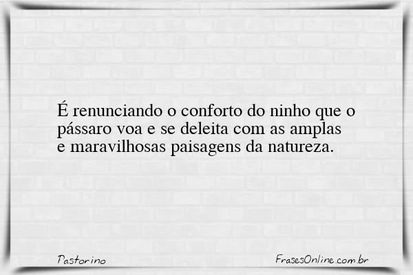 Frase de Pastorino