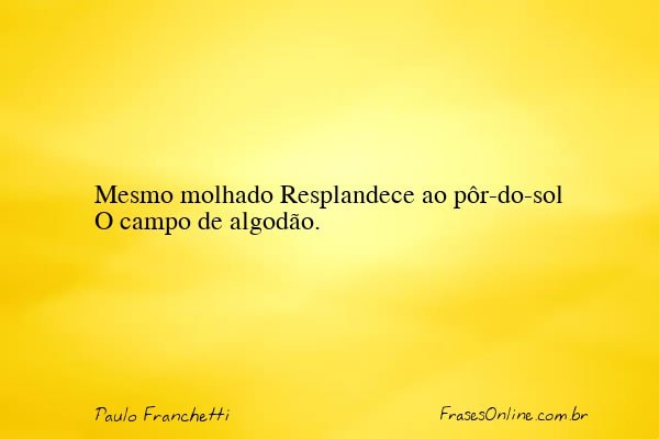 Frase de Paulo Franchetti