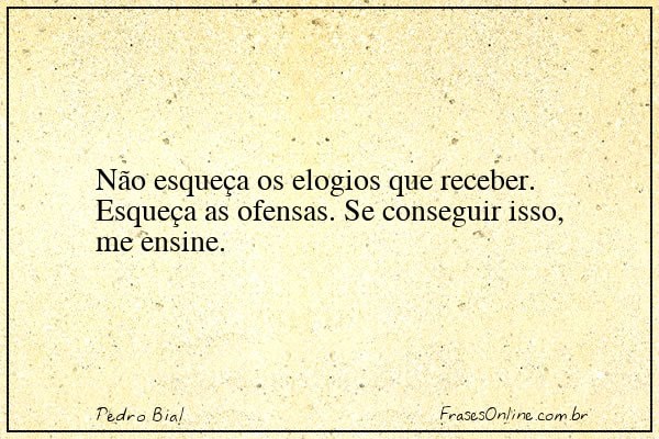 Frase de Pedro Bial