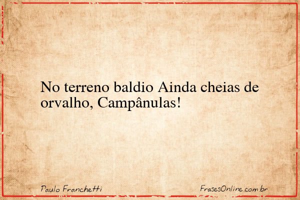 Frase de Paulo Franchetti