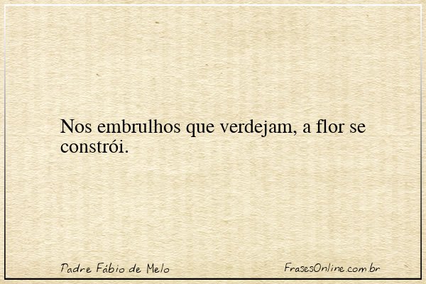 Frase de Padre Fábio de Melo