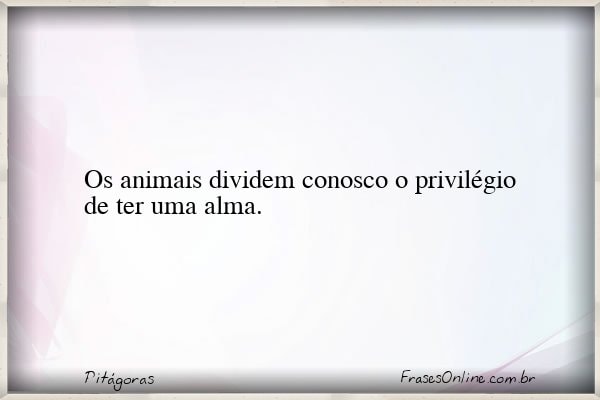 Frase de Pitágoras