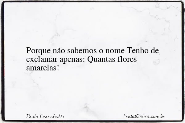 Frase de Paulo Franchetti