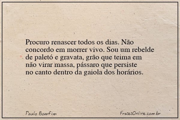 Frase de Paulo Bomfim