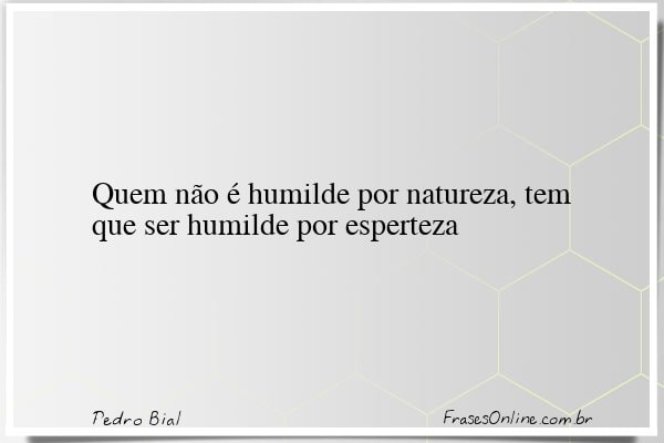 Frase de Pedro Bial