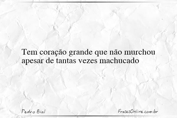 Frase de Pedro Bial