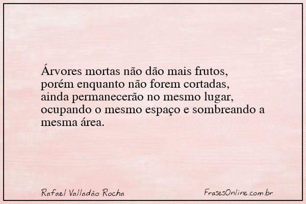 Frase de Rafael Valladão Rocha