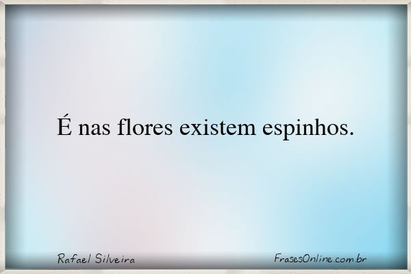 Frase de Rafael Silveira