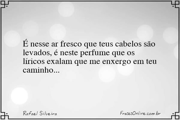 Frase de Rafael Silveira