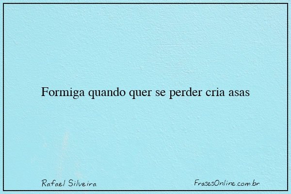 Frase de Rafael Silveira
