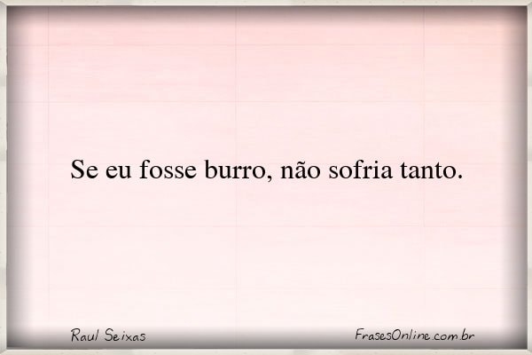 Frase de Raul Seixas