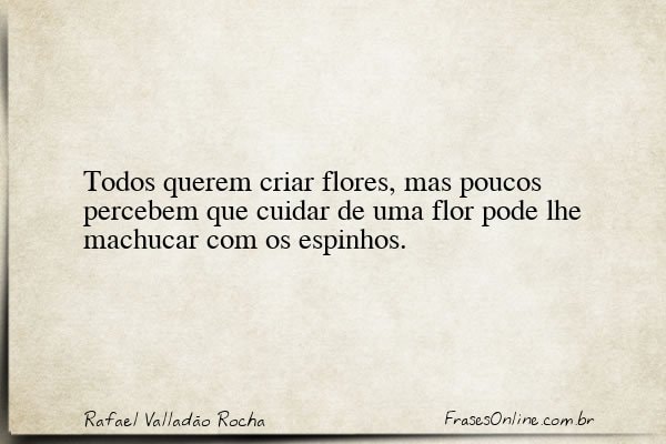 Frase de Rafael Valladão Rocha