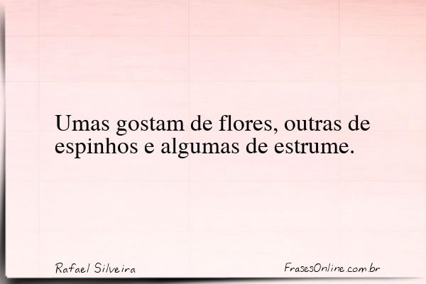 Frase de Rafael Silveira