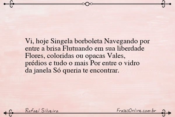 Frase de Rafael Silveira
