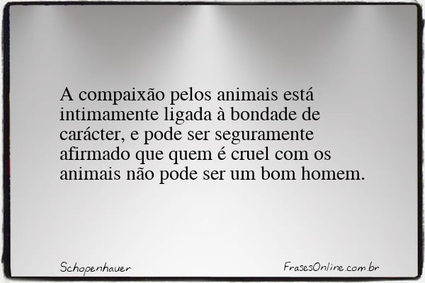 Frase de Schopenhauer