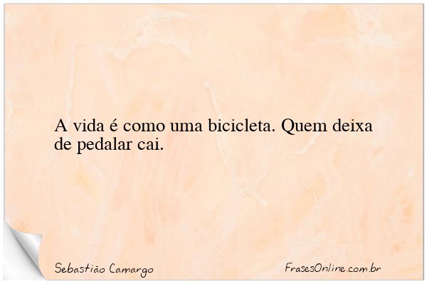 Frase de Sebastião Camargo