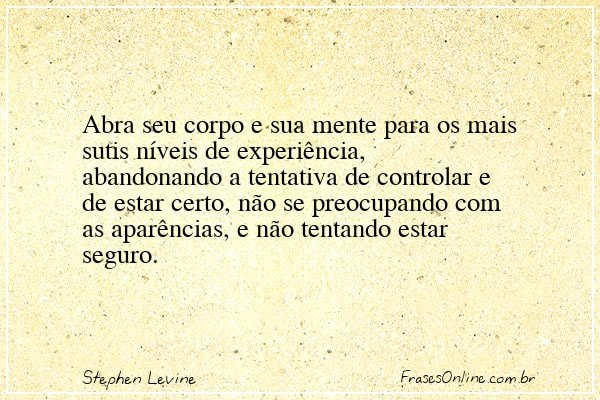 Frase de Stephen Levine