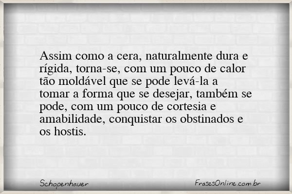 Frase de Schopenhauer