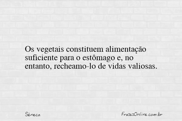 Frase de Sêneca