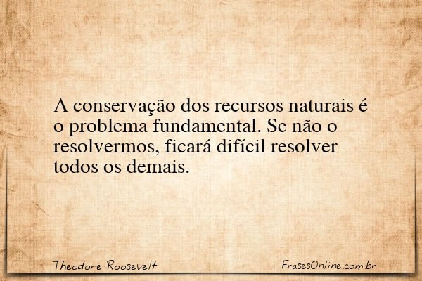 Frase de Theodore Roosevelt