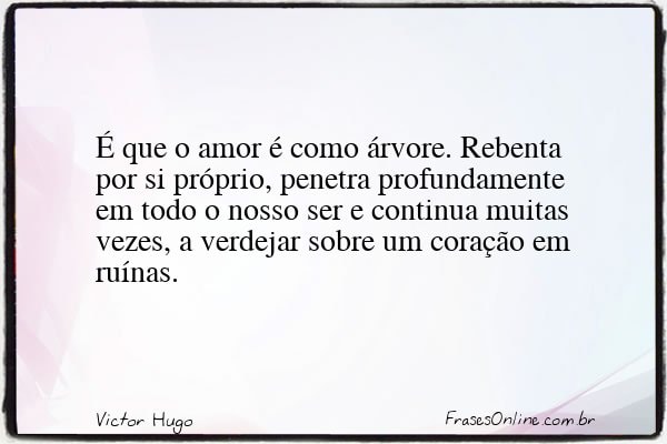 Frase de Victor Hugo