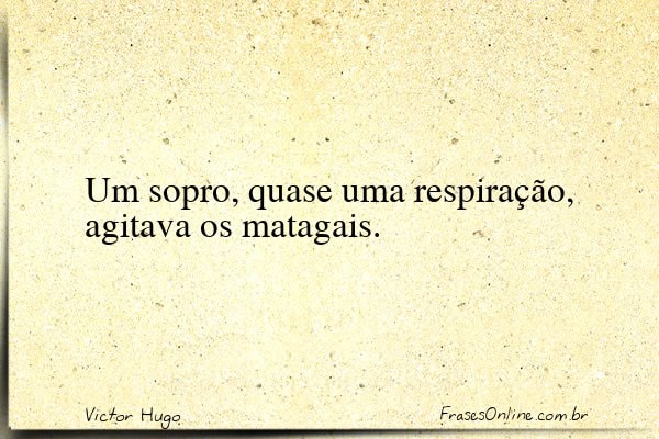 Frase de Victor Hugo