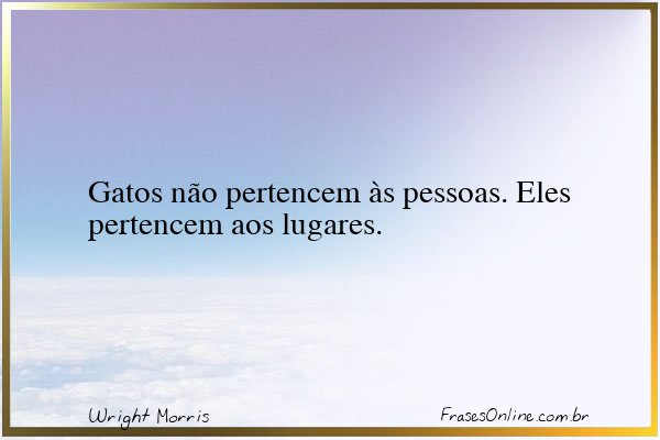 Frase de Wright Morris